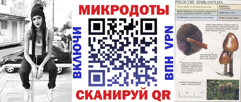 omg как войти  Данилов  Галлюциногенные грибы Psilocybe 